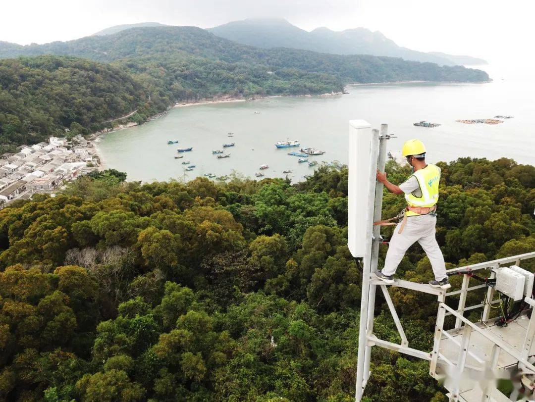 百千万工程 | 台山 夯实信息网络基底，驱动数字经济高质量发展